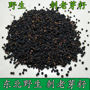 东北野生刺老芽籽 刺嫩芽籽 刺龙芽 刺嫩芽籽 野生干籽 250克包邮