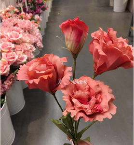 ikea宜家  思米加 人造花洋桔梗假花干花仿真花花卉花艺60 厘米