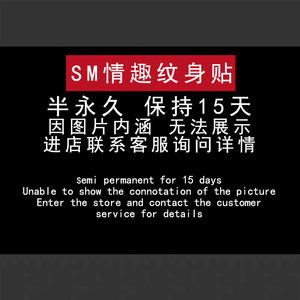 50a842345670淘宝淫语夜光私密性感魅魔情趣文字h纹身贴纸私处污