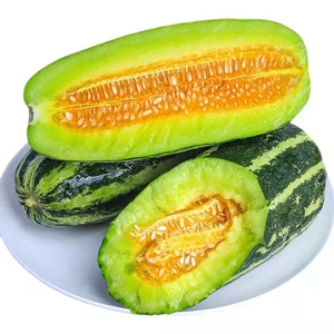 山东博洋9号甜瓜新鲜水果羊角蜜当季香瓜蜜瓜头茬5斤大果整箱包邮