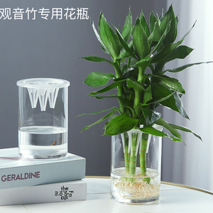 观音竹专用花瓶插富贵竹用养转运竹透明玻璃水培植物瓶客厅插花瓶