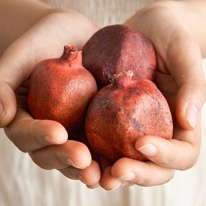 行野雅果香韵系列干花干果摆件凤凰球石榴果仿真花大碗壳植物装饰