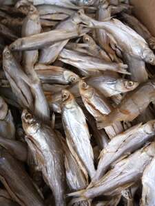 安徽省明光女山湖特产参子鱼干1000g 包邮