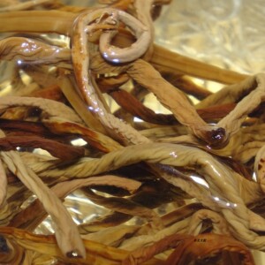 黑龙江东宁野生牛毛广微菜半斤包邮