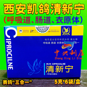 凯鸽【清新宁】5克*6袋/呼吸道肠道衣原体3合1三/进口清新宁鸽药