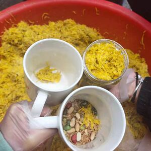 正宗修水盐腌菊花茶麻子豆子花生米萝卜丁花椒茶叶黄豆姜丝茶芎