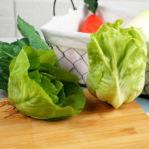 仿真开口生菜模型假野菜开口蔬菜道具pvc水洗蔬菜橱窗展示装饰件