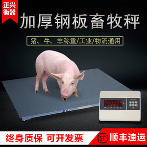 电子地磅秤养殖场称猪小型地秤家用称重高精准加厚围栏地磅电子秤