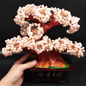 珍珠发财树diy材料