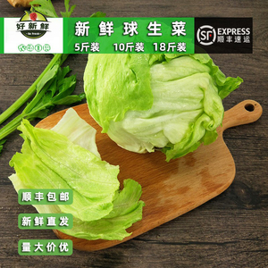 球生菜生菜球圆西生菜汉堡包烤肉包菜沙拉蔬菜凉拌菜西餐紫包邮