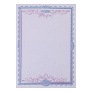 股权证书收藏资格空白内页聘书定做荣誉获奖订制a4纸奖状一张起订