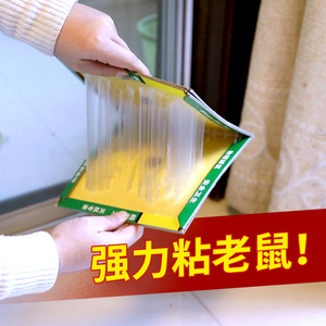 郁康老鼠胶强力家用粘鼠板正品加大加厚老鼠贴捕鼠神器老鼠一窝端