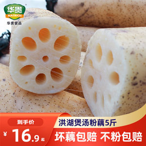 洪湖莲藕新鲜煲汤粉藕5斤炖汤藕现挖正宗湖北九孔红藕糯米藕面藕