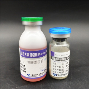 猪伪狂犬疫苗 猪伪狂犬病活疫苗k-61株 滴鼻 肌肉注射伪狂犬疫苗