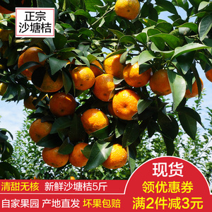 广西水果特产新水果