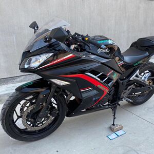 二手摩托车国产小忍者250cc北极光单杠风冷宝雕款rr双缸水冷350cc