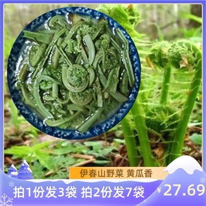 黄瓜香东北山野菜新鲜山菜伊春袋装食用野生保鲜蔬菜450克3广东菜