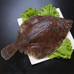 新鲜鲽鱼深海鱼类海鲜水产偏口鱼冷冻野生比目鱼鸦片鱼整条包邮
