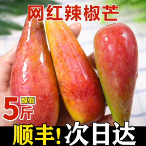 树上熟辣椒芒 海南特产新鲜水果三亚贵妃芒当季现摘自然熟芒果5斤