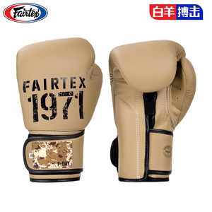 fairtex 菲泰拳套拳击手套bgv25拳套真皮儿童男女散打沙袋训练
