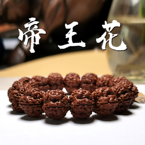 【老五文玩】帝王花大尺寸粗筋爆肉小金刚菩提手串梅花桩单圈手串