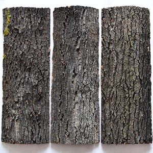 天然真树皮墙面装饰