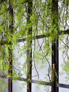 仿真黑骨芒绿植藤条草空调管道缠绕水景景观鱼缸水草植物塑料吊顶