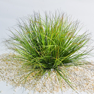 仿真草丛草垛蒲小草堆草团绿植室内植物造景塑料假花干花橱窗装饰