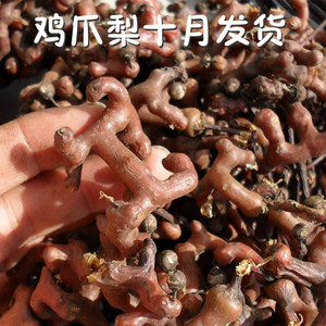 000人付款淘宝拐枣果干500g拐爪果中药材散装捌枣鸡拐枣鸡爪梨新鲜