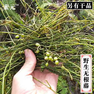 新鲜无根藤 青丝无头藤 新晒无娘藤广西中草药菟丝子罗网藤无根草