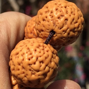 精品佛螺菩提20佛珠手链18颗菩提子手串念珠手持高端文玩佛罗金刚