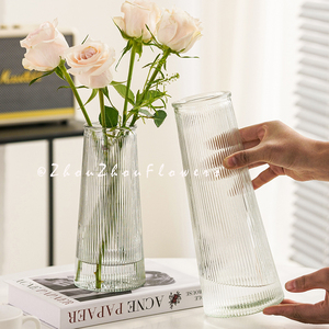 【两件套】现代简约玻璃花瓶大号透明水养富贵竹鲜花客厅家用摆件