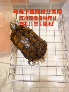 304不锈钢乌龟下蛋网格产蛋孵化池网动物粪便分离鱼缸盖防护专用