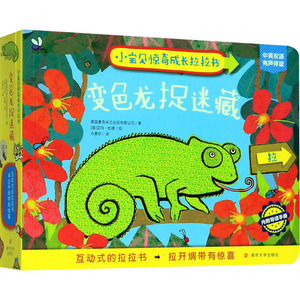 变色龙捉迷藏 英国麦克米兰出版有限公司(macmillan publishers ltd)