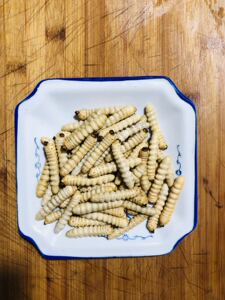 美味柴虫干木虫蛤虫零食下酒菜云南特产顺丰两件包邮