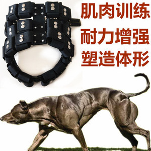 大型犬杜高斗狗比特犬训练用品装备负重背带胸背狗项圈猛犬减肥