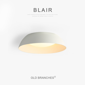 老树枝Blair现代极简吸顶灯设计师款卧室书房儿童房圆形LED护眼灯