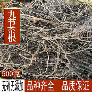 包邮 中药材肿节风根 500g 九节茶根 九节风 接骨莲草珊瑚
