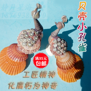 天然海螺贝壳工艺品贝壳孔雀儿童玩具餐饮摆盘装饰家居装饰摆件