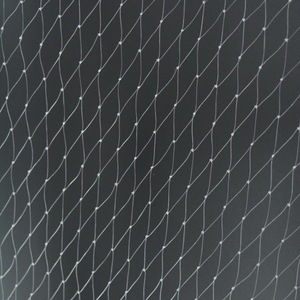 单丝透明钓鱼线网片鱼网鱼塘果园防鸟用的网防护网抛网聚乙烯渔网