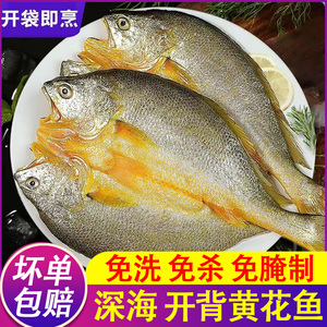 黄鱼鲞特级舟山野生黄花鱼脱脂开背大黄鱼鲜活商用真空包装微腌制