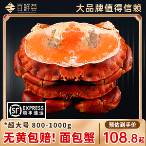 面包蟹黄金蟹熟冻超大螃蟹礼盒飞蟹梭子蟹母新鲜鲜活冷冻海鲜水产