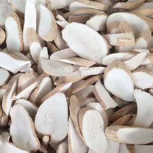 大罗伞 500克包邮 玉郎伞 木肚端 山大颜 刀斧伤 山大刀 粉罗伞