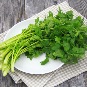 新鲜香菜老品种味浓新鲜采摘农家自然种植食用蔬菜调味品配菜