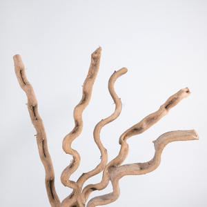 干枝干花虬龙藤干藤条干花树藤干枝装饰花藤仿真花藤枯藤山藤条