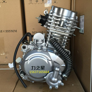 250 300cc水冷发动机总成悍威三轮车发动机总成包邮0人付款1350