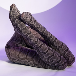 蟒蛇袜
