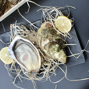 法国进口鲜活生蚝金珍珠n1新鲜水产美食顺丰空运刺身级海蛎子12粒