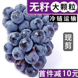 【现货】云南夏黑葡萄无籽新鲜提子水果5斤整箱黑提萄葡巨峰包邮