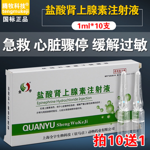 【肾上腺素急救针】肾上腺素急救针品牌,价格 - 阿里巴巴